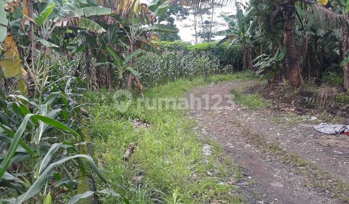 Tanah di Jalan Achmad Adnawijaya, Bogor 11.649 ha 4