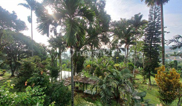 Vila view Gunung 40 meter dari jl raya utama. 2