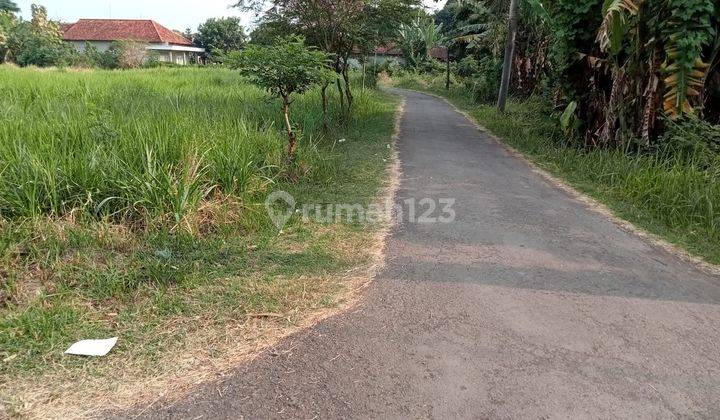 Tanah Murah Padat Pemukiman Slawi Tegal 2