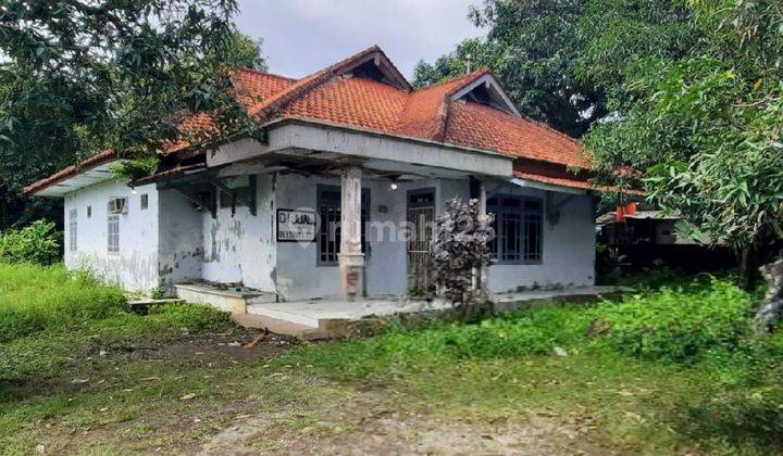 RUMAH DENGAN TANAH YANG LUAS & STRATEGIS DI PURWOHARJO COMAL 1