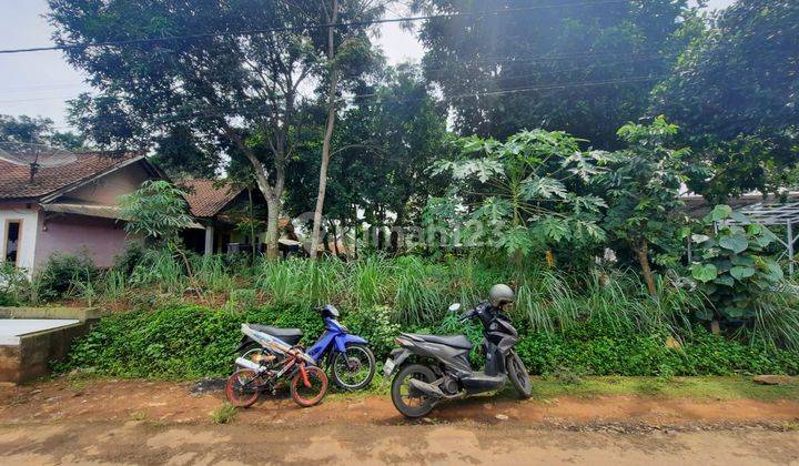 Tanah Kebon Durian Produktif Di Talun Pekalongan 2