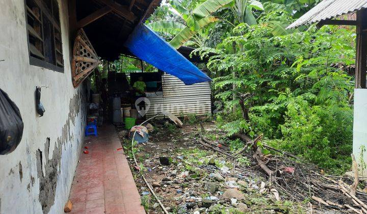 Tanah Luas Siap Bangun Di Kadipaten Wiradesa Pekalongan 2