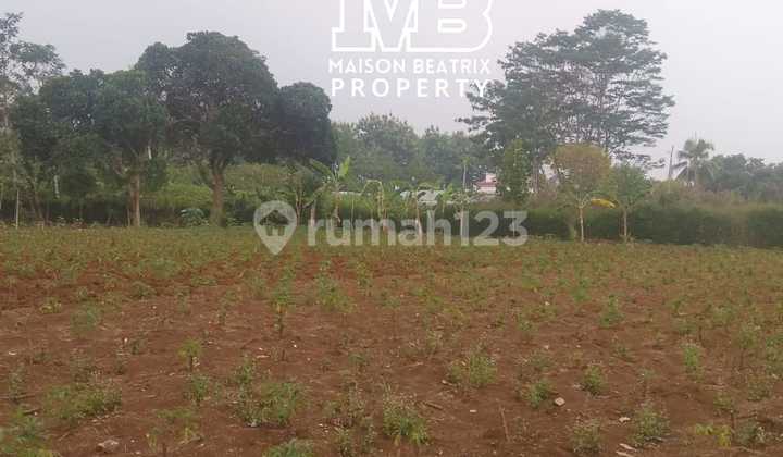 LAND FOR SALE BY THE ROAD, SUITABLE FOR MINI CLUSTER / TOWNHOUSE, ETC. IN CISEENG, BOGOR REGENCY - WEST JAVA LAND FOR SALE BY THE ROAD, SUITABLE FOR MINI CLUSTER / TOWNHOUSE, ETC. IN CISEENG, BOGOR REGENCY - WEST JAVA