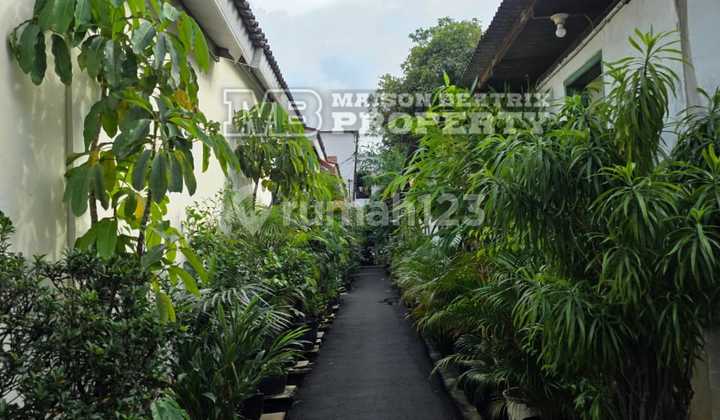 PRICE ONLY Rp 300 MILLION NET (Land area for sale ±84 m² out of 129 m² total – certificate split upon buyer's request) 2