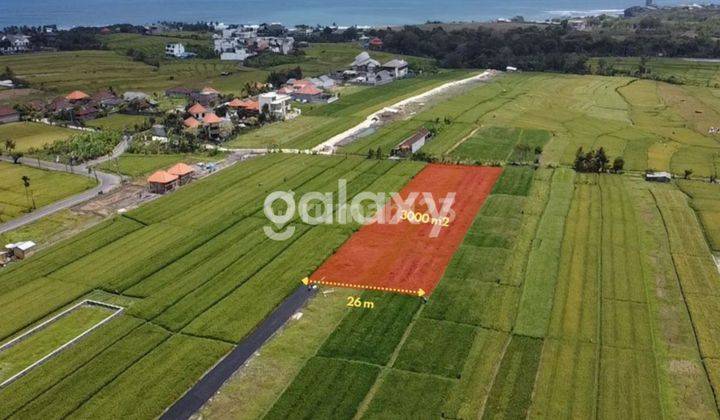 TANAH VIEW SAWAH DI PANTAI MENGENING CEMAGI MENGWI BADUNG, BALI 1