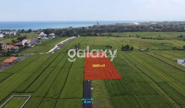 TANAH VIEW SAWAH DI PANTAI MENGENING CEMAGI MENGWI BADUNG, BALI 2