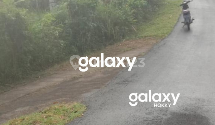 DIJUAL TANAH DESA KAYU PUTIH SUKASADA BULELENG, BALI