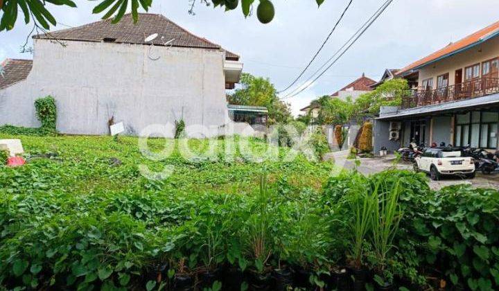 TANAH KOMERSIL BADAK AGUNG SUMERTA KELOD DENPASAR, BALI 2