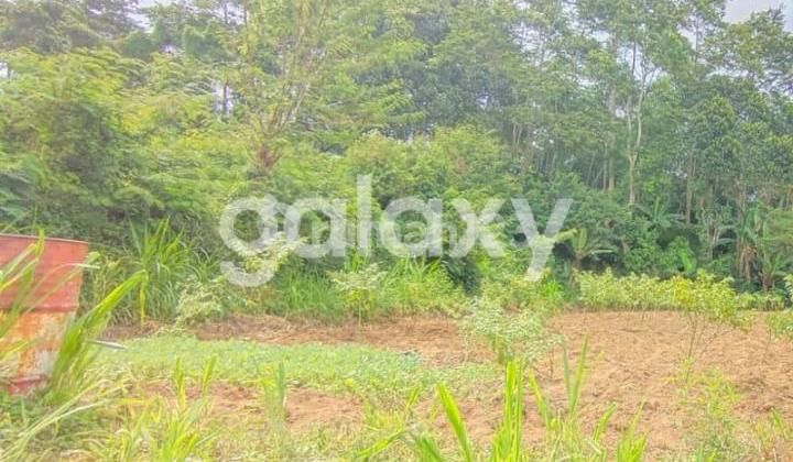 Tanah Aspek Perumahan di Baturiti Bedugul Tabanan, Bali