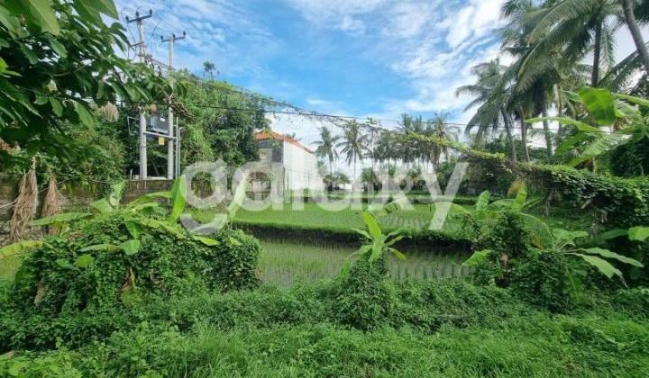 PROF IDA BAGUS MANTRA'S LAND, GIANYAR, BALI PROF IDA BAGUS MANTRA'S LAND, GIANYAR, BALI