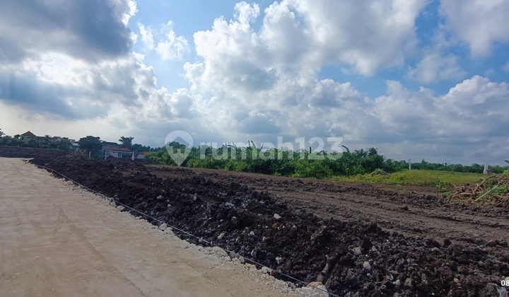 Tanah Kavling Residensial dan Komersil di Pusat Canggu Bali