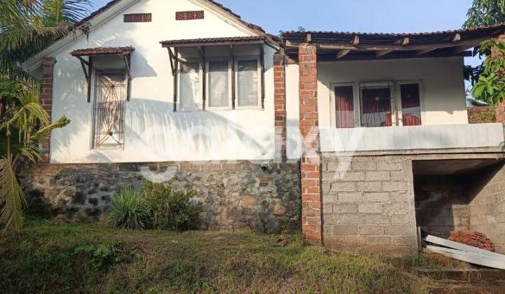 Tanah Luas Bonus Rumah Selat Anturan Lovina Buleleng, Bali