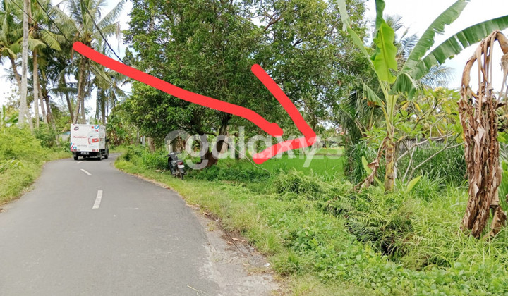 TANAH PERMATA PERING BLAHBATUH GIANYAR, BALI
