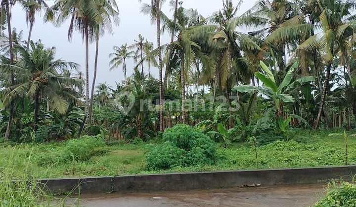 Tanah Lingkungan Villa Dekat Pantai Saba Gianyar Bali Tanah Lingkungan Villa Dekat Pantai Saba Gianyar Bali
