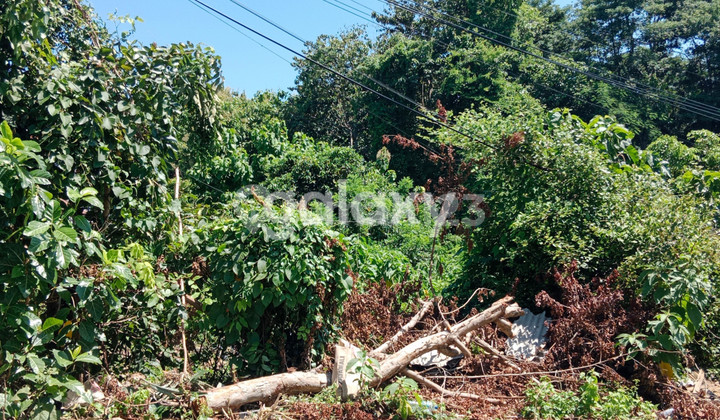 GREEN HILL LAND JIMBARAN BADUNG, BALI