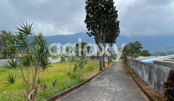 Tanah Raya Pancasari Bedugul Buleleng, Bali Tanah Raya Pancasari Bedugul Buleleng, Bali