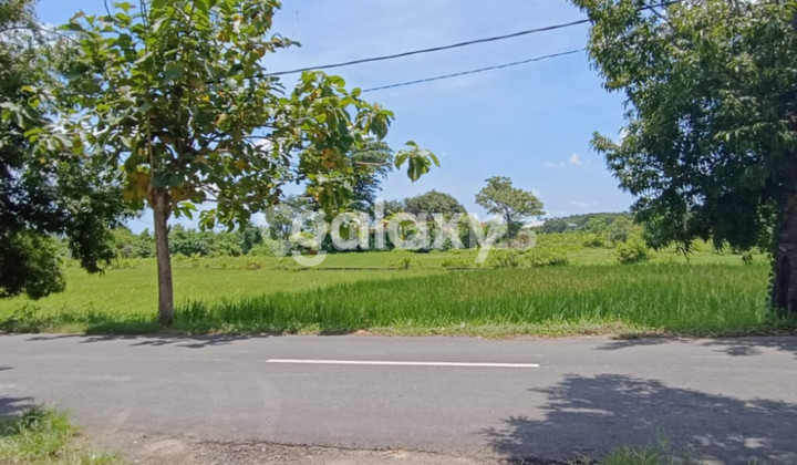 Tanah Siap Bangun Pantai Siyut Tulikup Gianyar, Bali