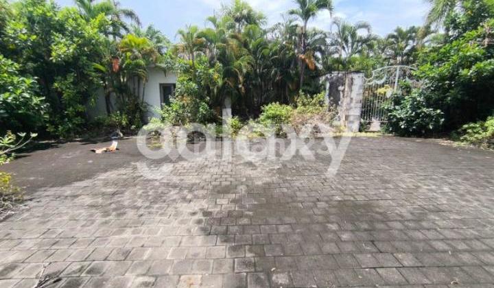 TANAH PREMIUM SIAP BANGUN DI PETITENGET SEMINYAK KEROBOKAN BADUNG, BALI
