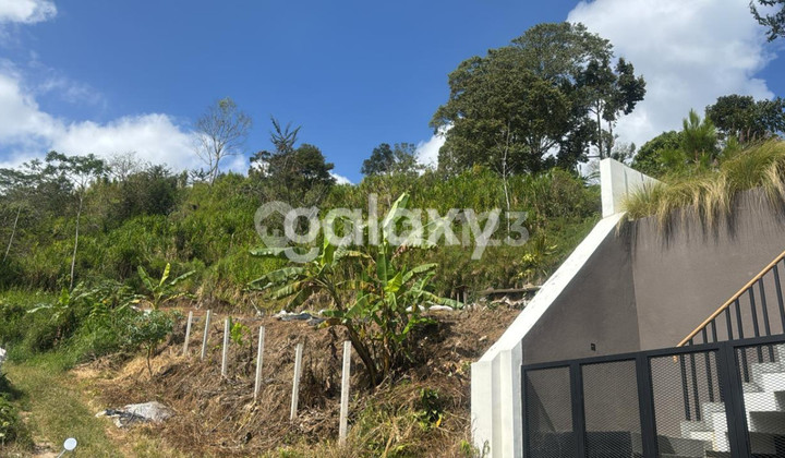 FOR SALE LARGE LAND IN BEDUGUL PANCASARI SUKASADA BULELENG, BALI
