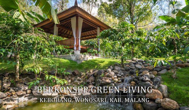 Gilakk Rumah Mewah Dijual di Kebobang, Wonosari Kab. Malang 13