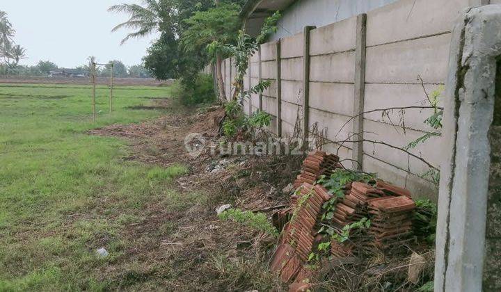 Tanah Komersil dan Strategis di Pandeglang Banten 4