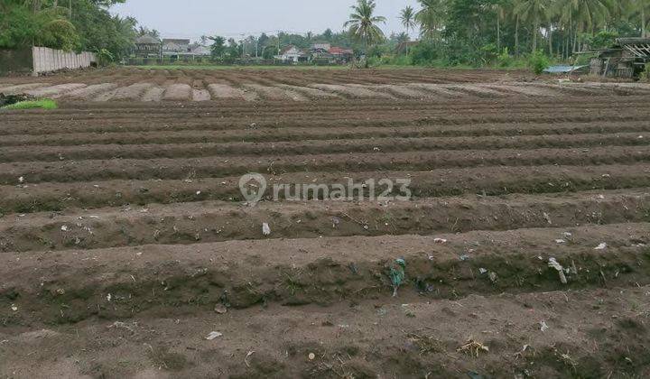 Tanah Komersil dan Strategis di Pandeglang Banten 1