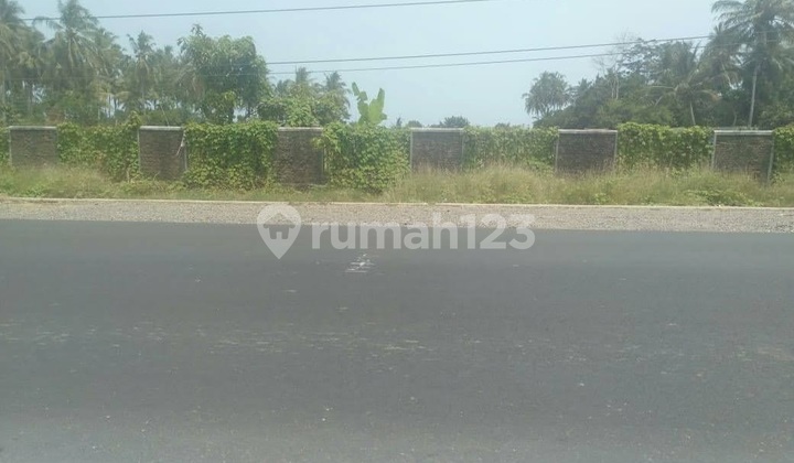 Tanah Komersil dan Strategis di Pandeglang Banten 8