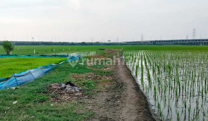 Di jual tanah strategis berada di tengah kota gabus bekasi, lokasi 500 meter dari keluar toll gabus tambun utara Di jual tanah strategis berada di tengah kota gabus bekasi, lokasi 500 meter dari keluar toll gabus tambun utara