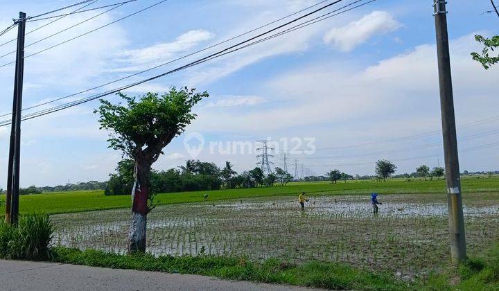 Tanah di Perbatasan Tambun Utara, Bekasi SHM 10 ha 1