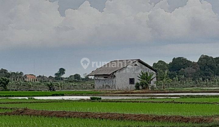 Tanah di Serang Banten, Serang 1