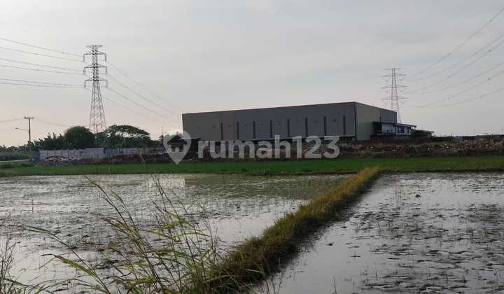 Land for sale in the yellow zone designated for housing in Srijaya Village, North Tambun District, 2 km from Gabus Celincing Toll Road, Bekasi.