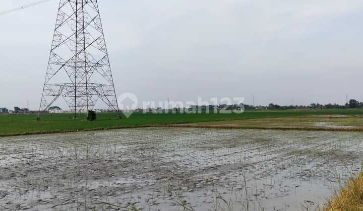 Land for sale in the yellow zone designated for housing in Srijaya Village, North Tambun District, 2 km from Gabus Celincing Toll Road, Bekasi.