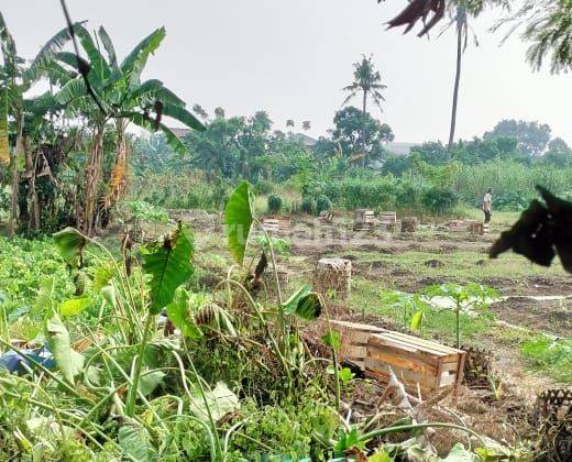 Dijual Lahan Kosong di Ancol. Harga Dibawah Njop  1