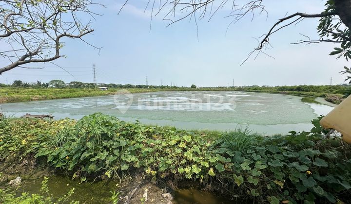 Dijual lahan dimarunda