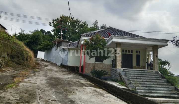 For sale: cafe and garden along with mango villa in Majalengka area. For sale: cafe and garden along with mango villa in Majalengka area.