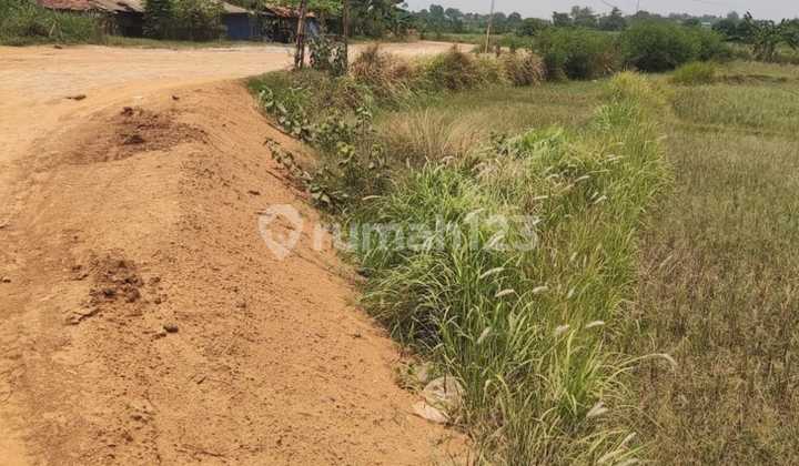 Vacant land for sale in Cibarusah near the crocodile park. Vacant land for sale in Cibarusah near the crocodile park.