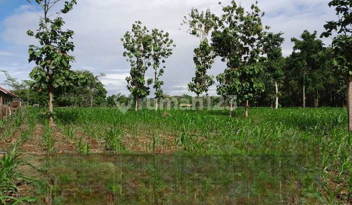 FOR SALE Land location in the Cimahi area, Caringin sub-district, Garut city, WEST JAVA