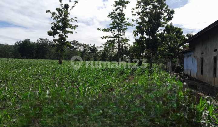 FOR SALE Land location in the Cimahi area, Caringin sub-district, Garut city, WEST JAVA