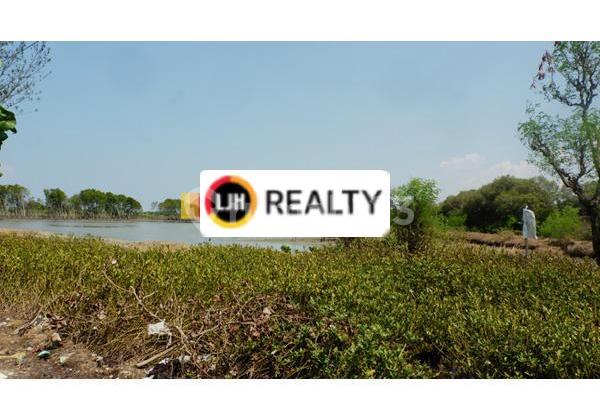Plot in Tegalan Pidodo Patebon Kendal Central Java. Rp. 75K/M2
