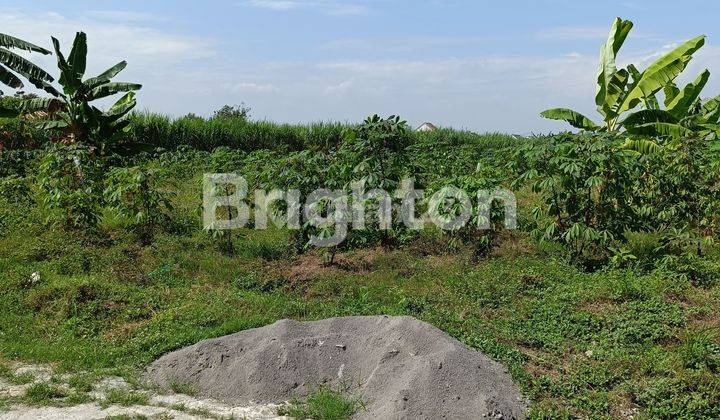 TANAH BAGUS UNTUK PERUMAHAN, LOKASI DEKAT DENGAN JALAN RAYA MENUJU AIRPORT- EMBARKASI HAJI BOYOLALI 1