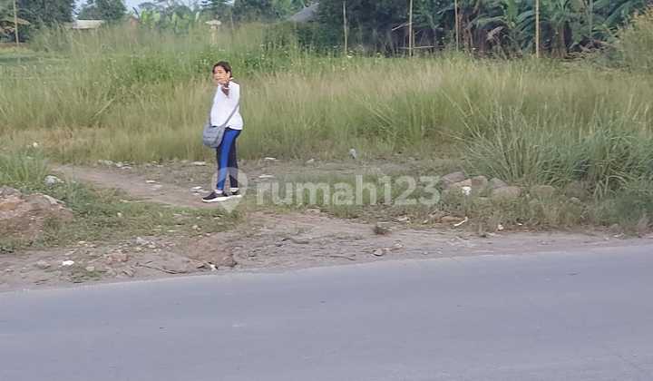 For Sale Land in Cisauk Tangerang For Sale Land in Cisauk Tangerang