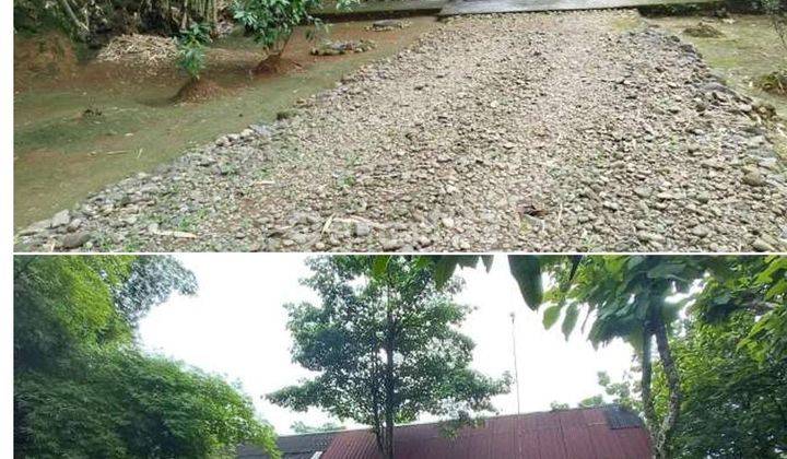 Dijual Tanah Luas Bebas Banjir Cocok Untuk Investasi Di Jonggol, Kota Bogor 1