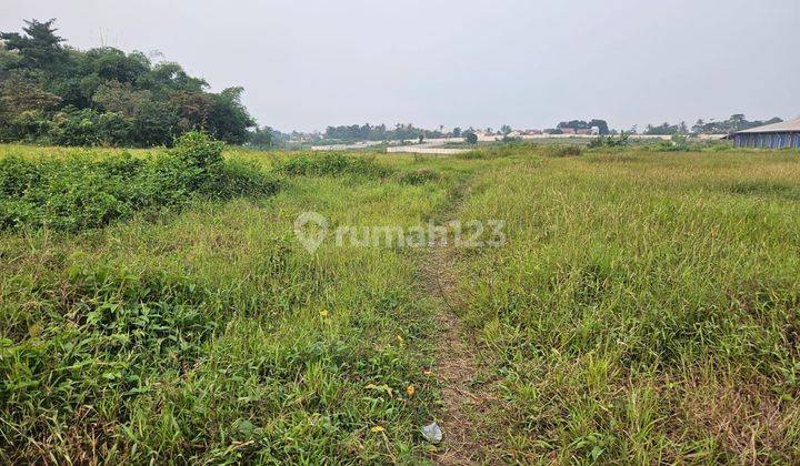 Dijual Tanah Dipinggir Jalan Raya Cikande Rangkasbitung Banten 1