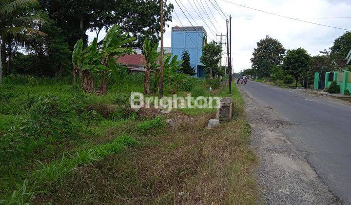 TANAH PERKEBUNAN DAN SAWAH BANDAR JAYA LAMPUNG 2