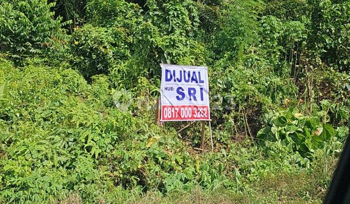 Land Ready for Sale and Build Land Ready for Sale and Build