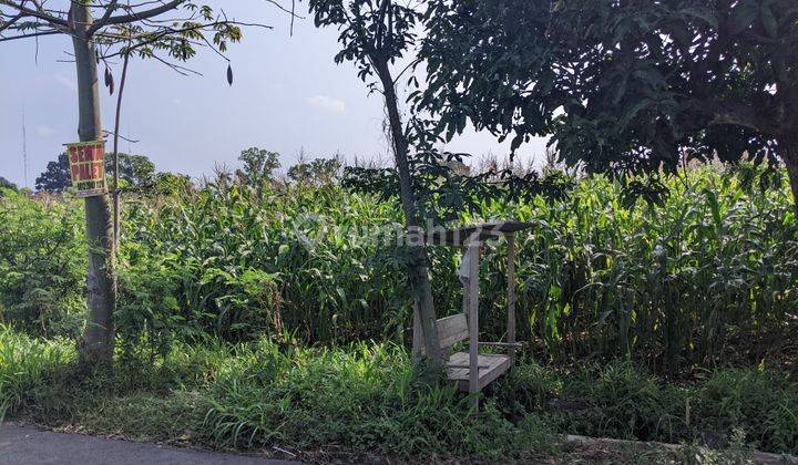 Tanah Luas Lokasi Strategis Dekat Candi Prambanan 1