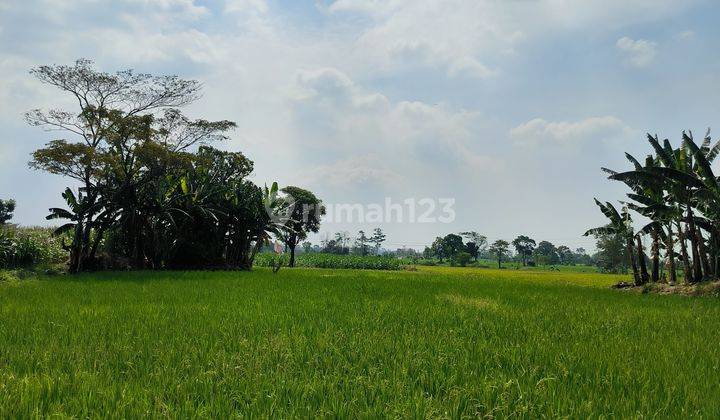 Dijual Tanah Purwosari Pasuruan Sukodermo Lokasi Bagus Cck Utk Industri 2