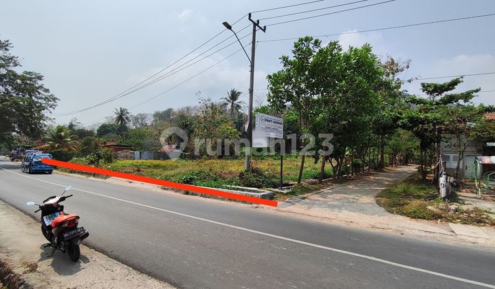 Turun Harga tanah di Jalan Re Martadinata B. Lampung