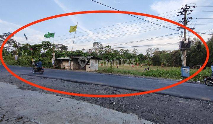 Turun Harga Murah Tanah Sukajaya Padang Cermin, Pesawaran dekat Tempat Lelang Ikan Lempasing Lampung 1
