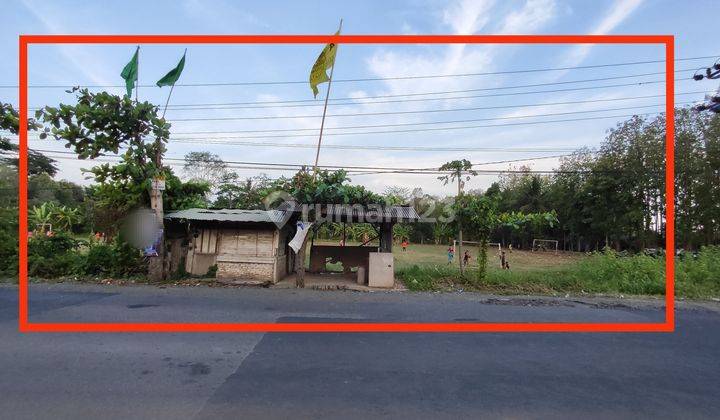 Turun Harga Murah Tanah Sukajaya Padang Cermin, Pesawaran dekat Tempat Lelang Ikan Lempasing Lampung 2